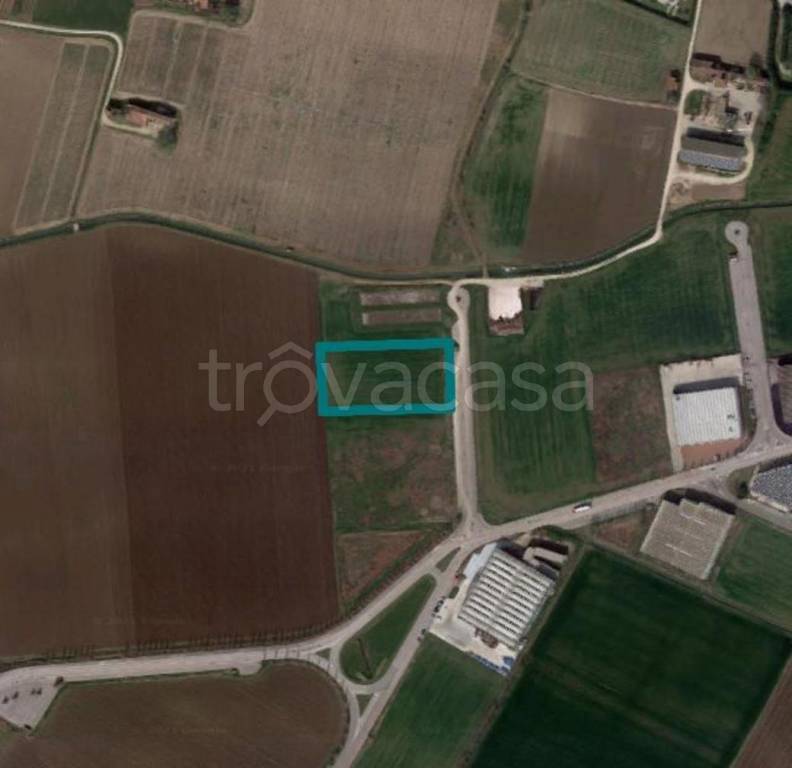 terreno agricolo in vendita ad Asigliano Veneto
