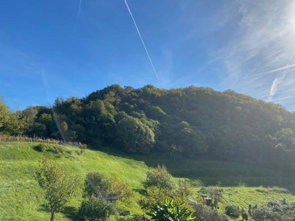 terreno agricolo in vendita a Bassano del Grappa in zona Sant'Eusebio