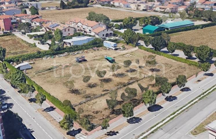 terreno agricolo in vendita a Bassano del Grappa