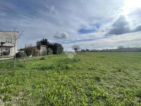 terreno agricolo in vendita a Bassano del Grappa