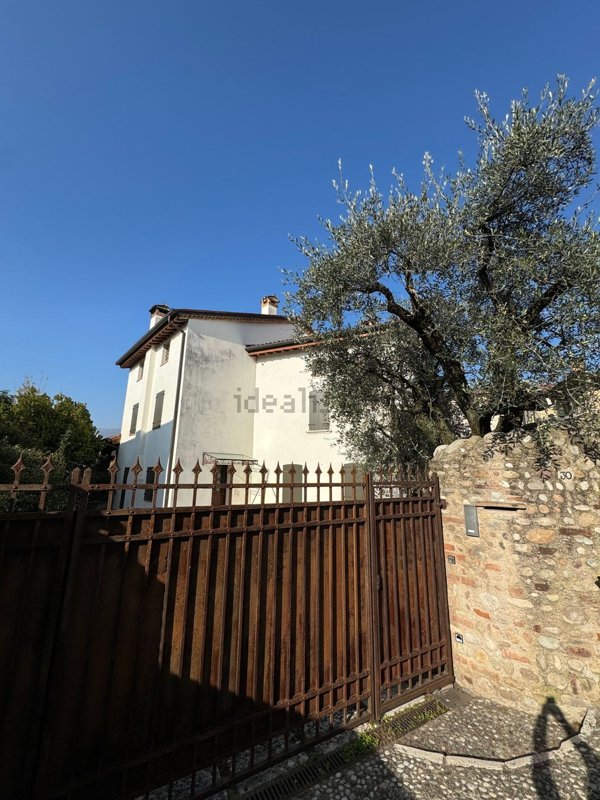 esavano in vendita a Bassano del Grappa
