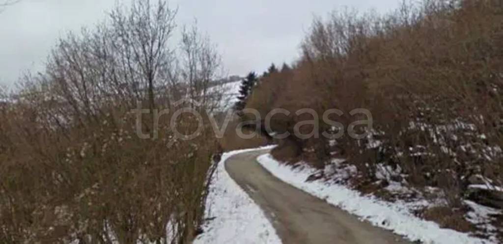 terreno agricolo in vendita a Bassano del Grappa in zona Rubbio