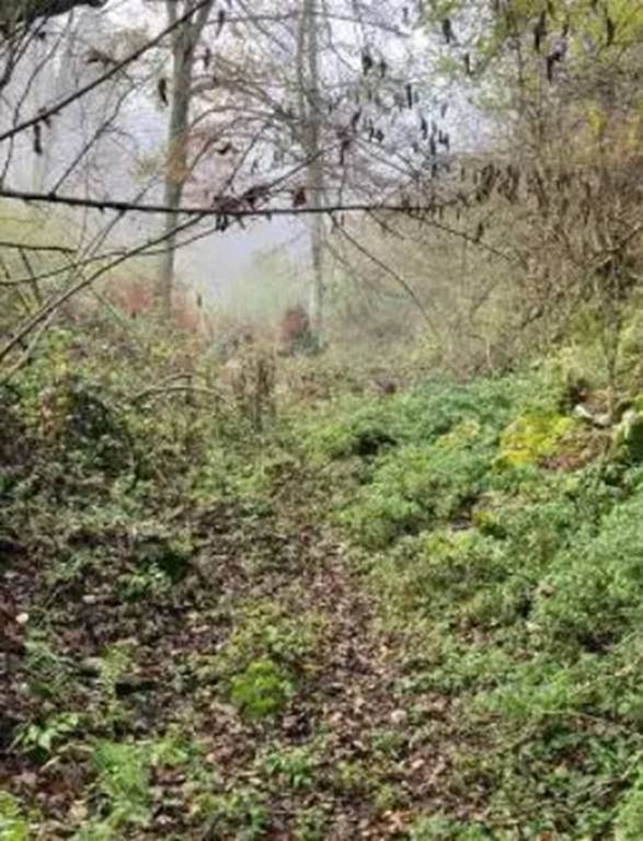 terreno agricolo in vendita a Bassano del Grappa in zona Rubbio