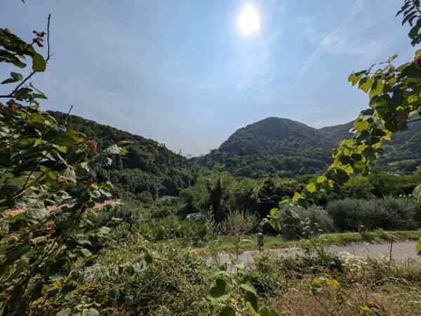terreno agricolo in vendita a Bassano del Grappa