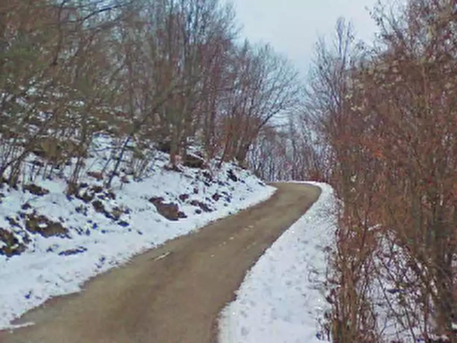 terreno agricolo in vendita a Bassano del Grappa