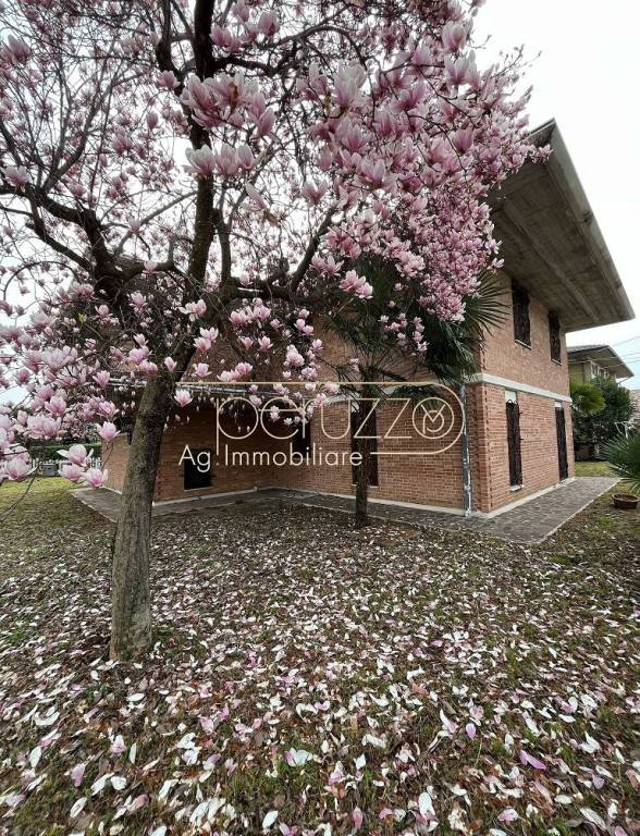 casa indipendente in vendita a Bassano del Grappa