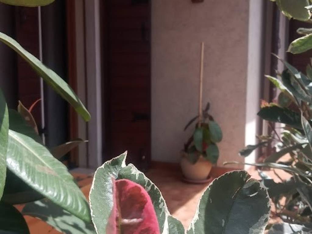 casa indipendente in vendita a Bassano del Grappa