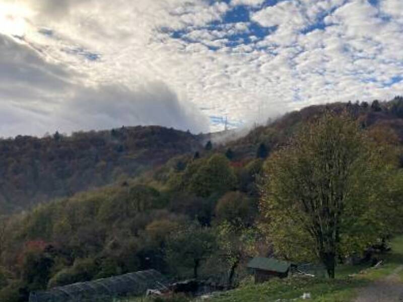 terreno agricolo in vendita a Bassano del Grappa in zona Rubbio