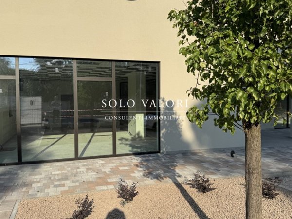 negozio in vendita a Bassano del Grappa