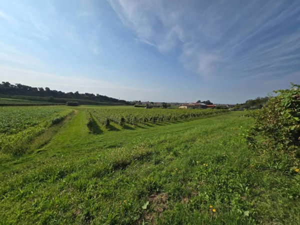 terreno agricolo in vendita a Bassano del Grappa