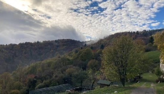 terreno edificabile in vendita a Bassano del Grappa in zona Rubbio