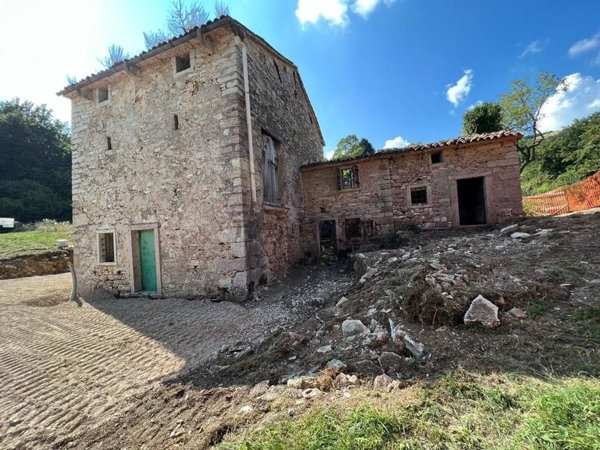 esavano in vendita a Bassano del Grappa