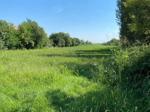terreno agricolo in vendita a Bassano del Grappa
