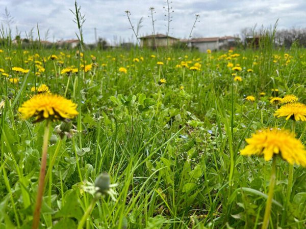 terreno edificabile in vendita a Bassano del Grappa