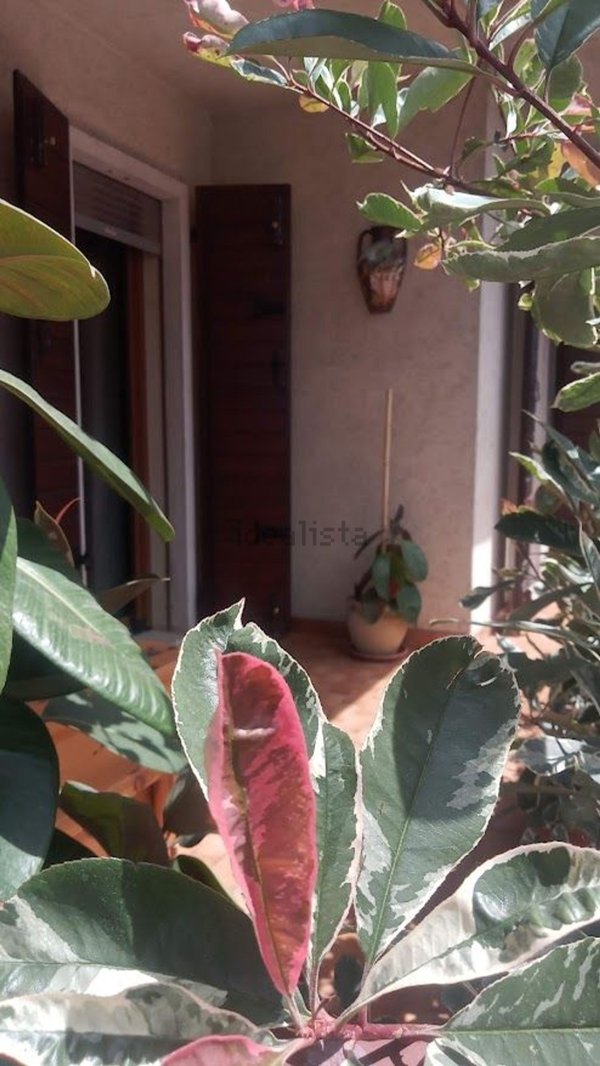 casa indipendente in vendita a Bassano del Grappa