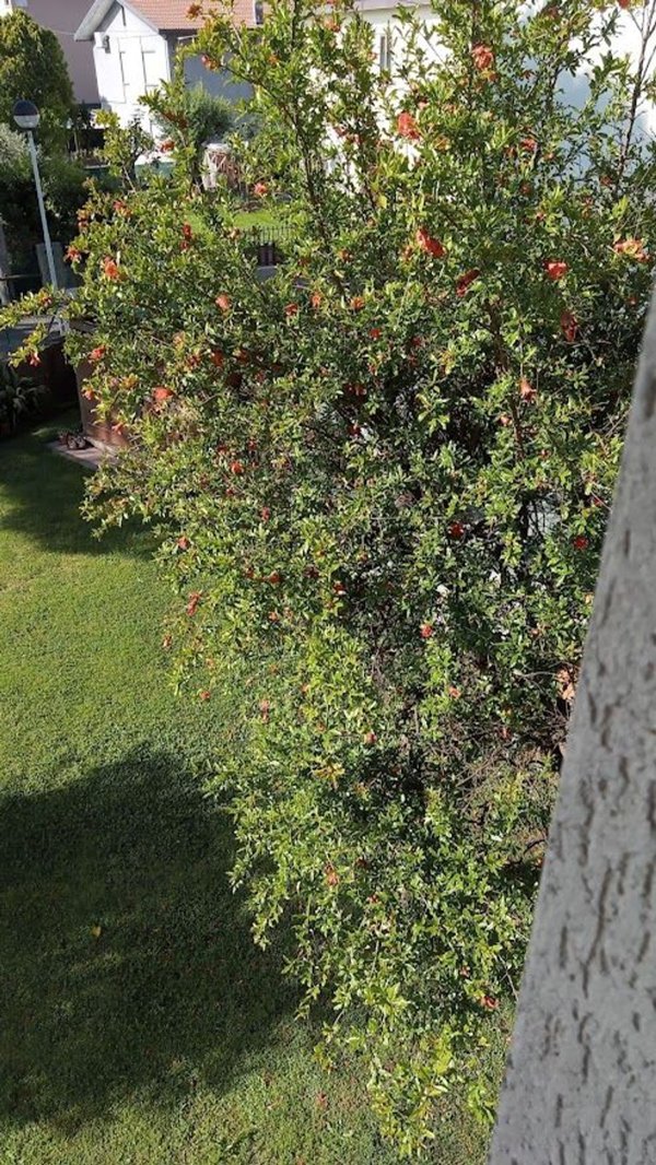 appartamento in vendita a Bassano del Grappa