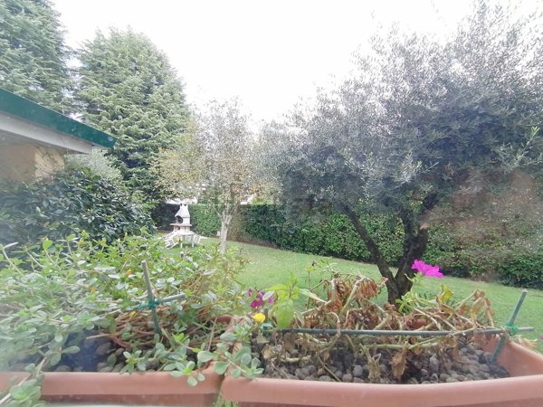 appartamento in vendita a Bassano del Grappa