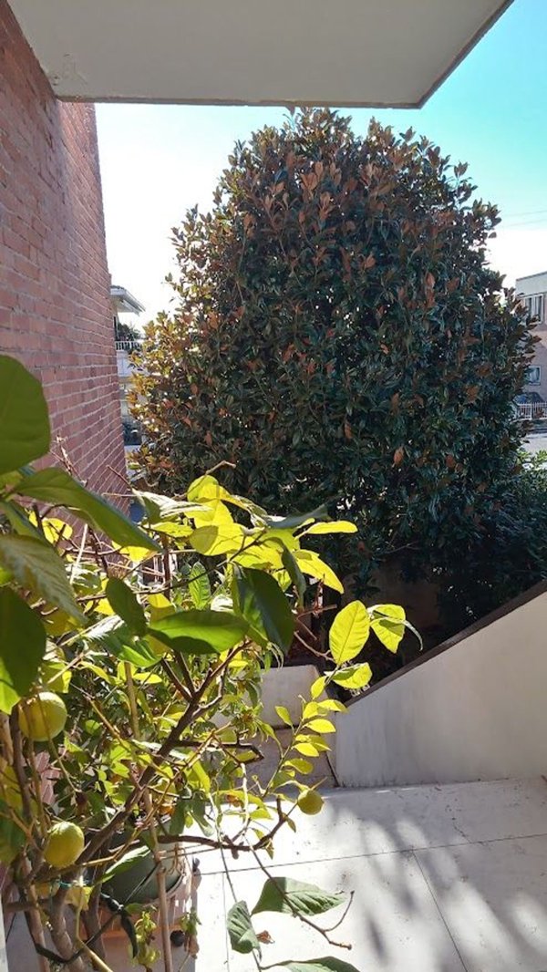 appartamento in vendita a Bassano del Grappa