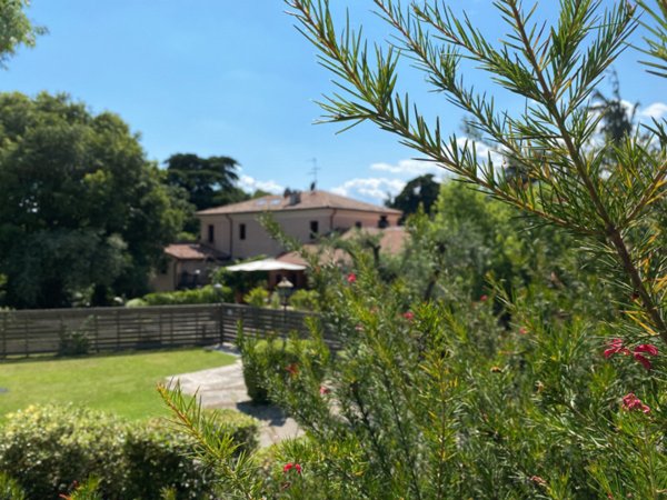 negozio in vendita a Bassano del Grappa
