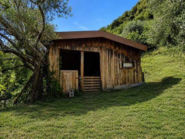 terreno agricolo in vendita a Bassano del Grappa