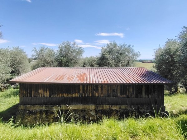 terreno agricolo in vendita a Bassano del Grappa