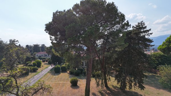 appartamento in vendita a Bassano del Grappa