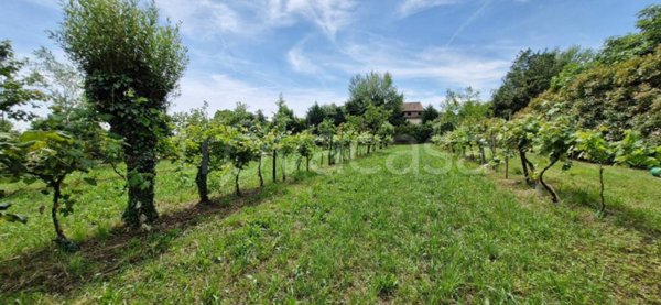 terreno agricolo in vendita a Bolzano Vicentino