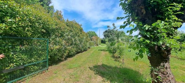 terreno agricolo in vendita a Bolzano Vicentino