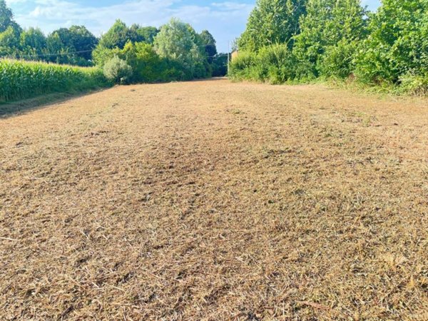 terreno agricolo in vendita a Bolzano Vicentino in zona Lisiera