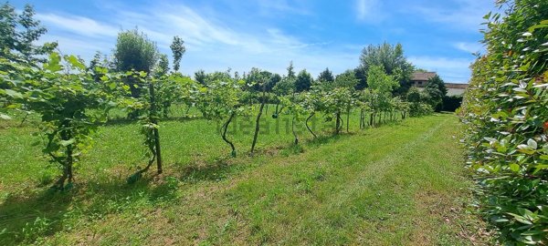 terreno edificabile in vendita a Bolzano Vicentino