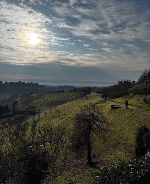 casa indipendente in vendita a Breganze