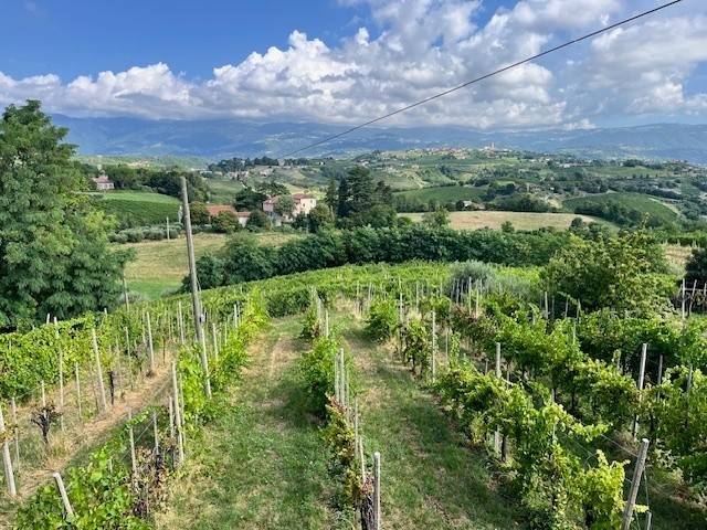 casa indipendente in vendita a Breganze in zona Maragnole
