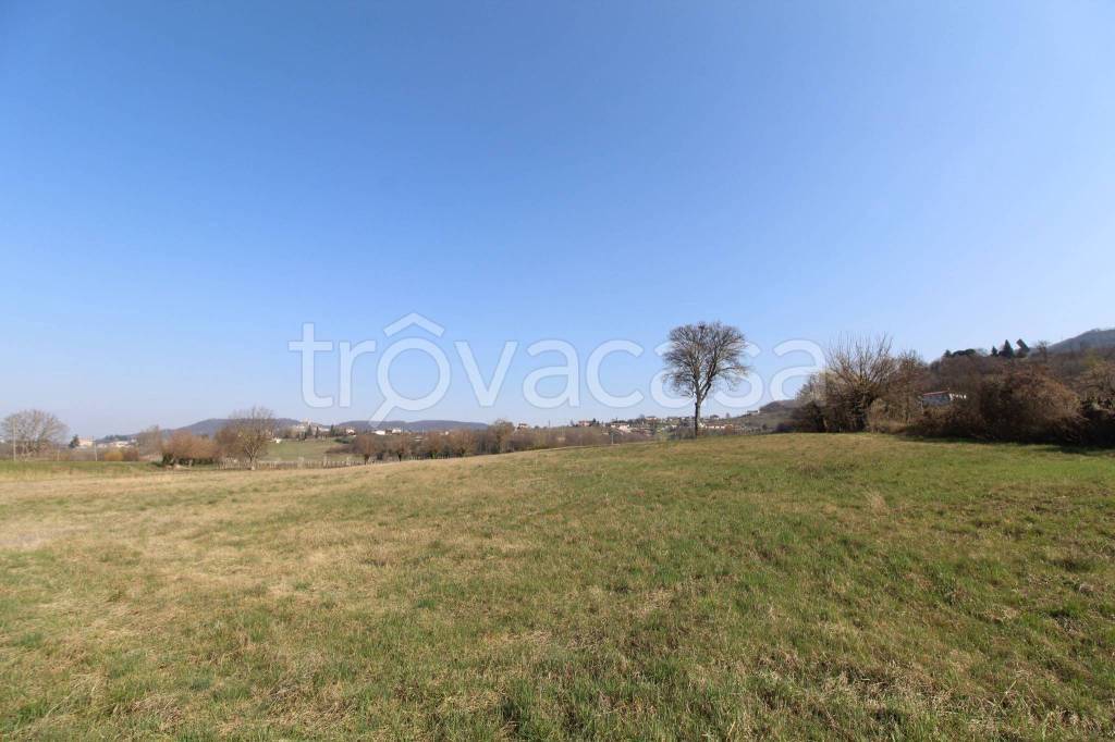 terreno agricolo in vendita a Brendola in zona Vò