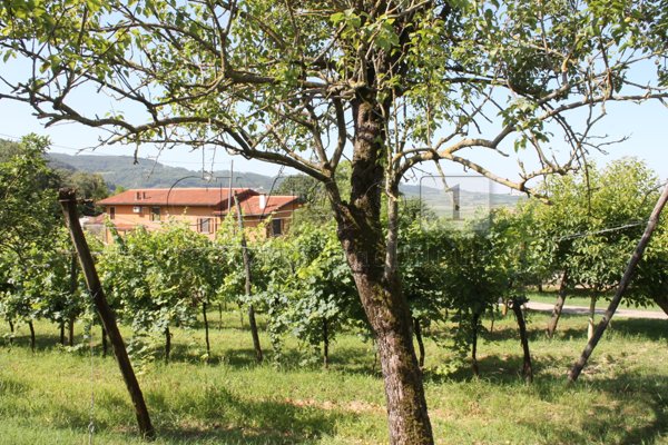 casa indipendente in vendita a Brendola in zona San Vito