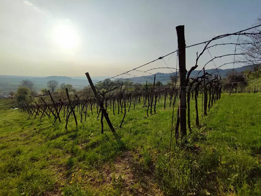 terreno agricolo in vendita a Brendola in zona San Valentino