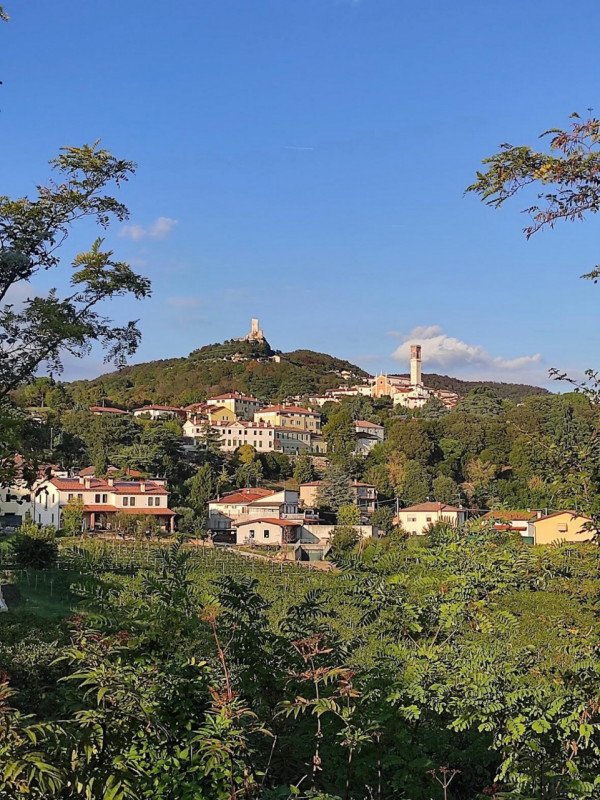 casa indipendente in vendita a Brendola