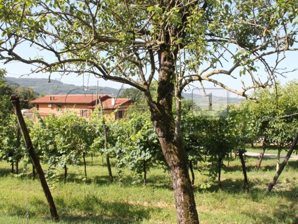 casa indipendente in vendita a Brendola