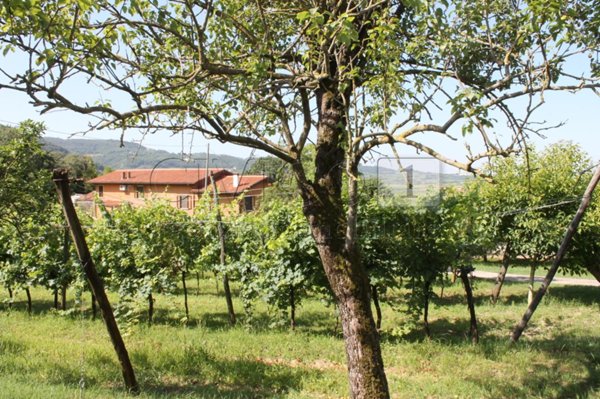 casa indipendente in vendita a Brendola in zona San Vito