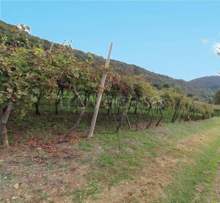 casa indipendente in vendita a Brendola