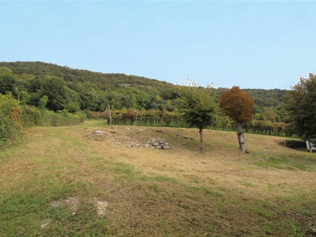 terreno agricolo in vendita a Brendola
