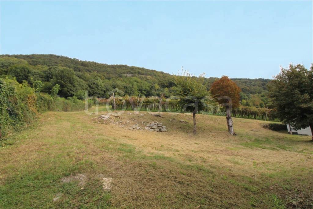 terreno agricolo in vendita a Brendola