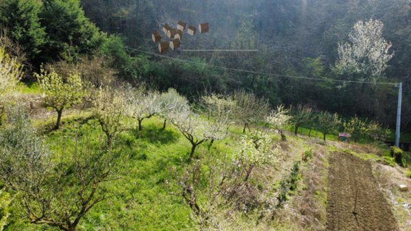 casa indipendente in vendita a Brendola