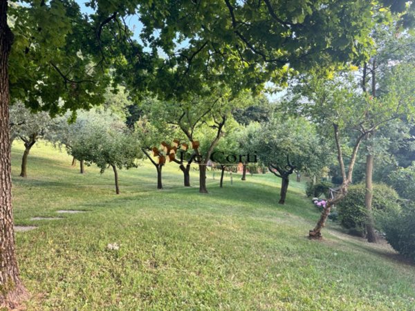 casa indipendente in vendita a Brendola in zona Canova