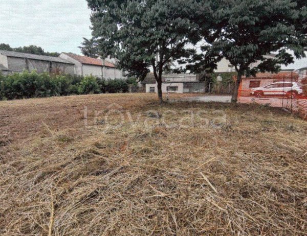 terreno agricolo in vendita a Bressanvido