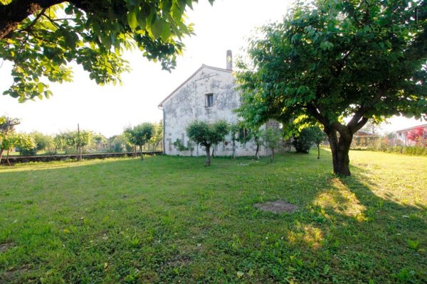 casa indipendente in vendita a Bressanvido