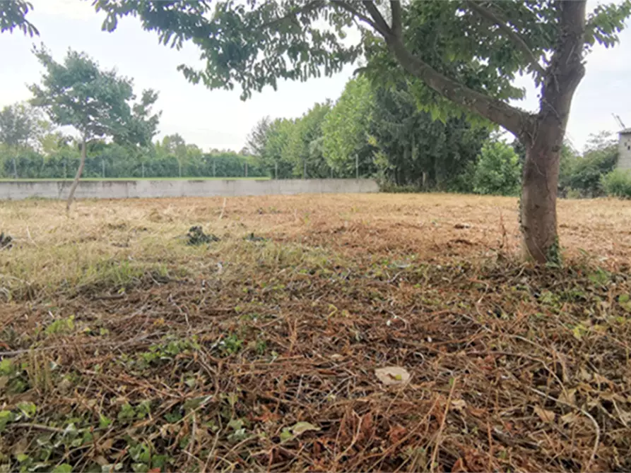 terreno edificabile in vendita a Bressanvido