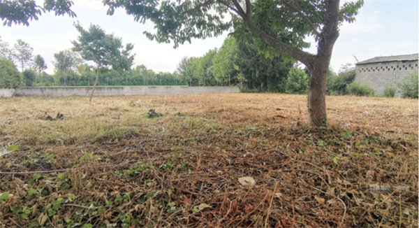 terreno edificabile in vendita a Bressanvido
