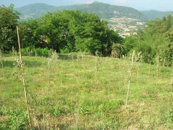 terreno edificabile in vendita a Brogliano