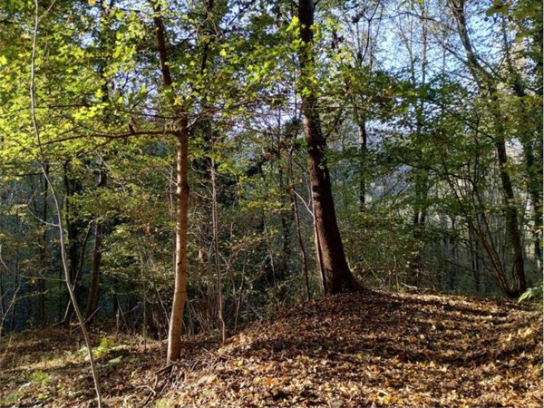 terreno agricolo in vendita a Brogliano in zona Quargnenta