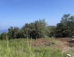 terreno in vendita a Brogliano in zona Quargnenta